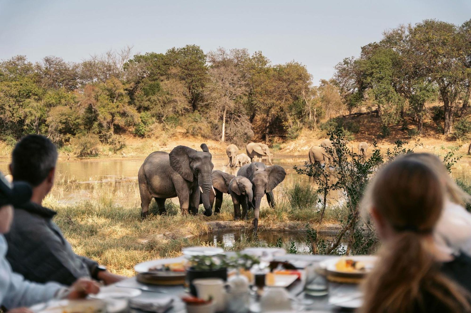 Simbavati River Lodge Timbavati Game Reserve Εξωτερικό φωτογραφία