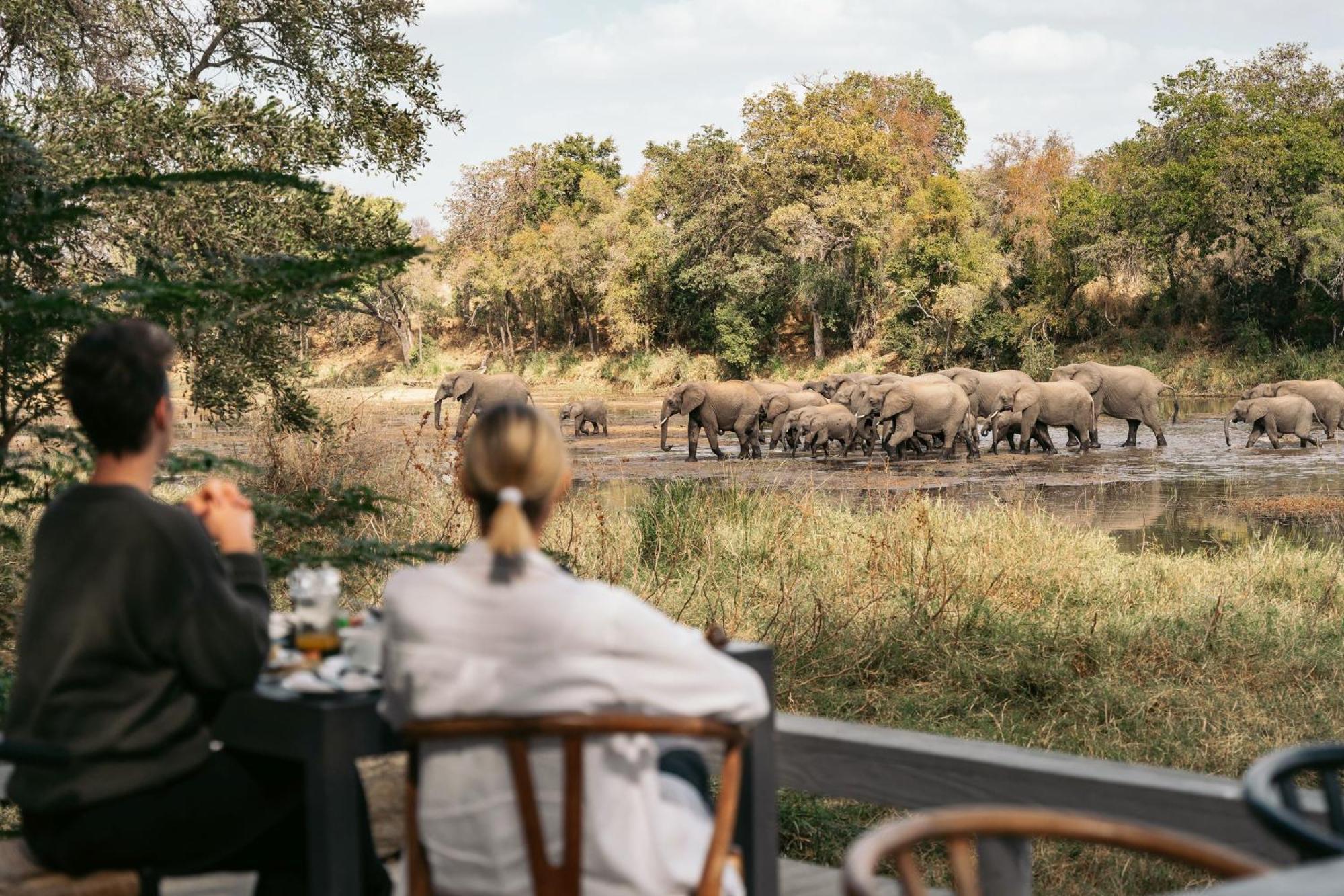Simbavati River Lodge Timbavati Game Reserve Εξωτερικό φωτογραφία