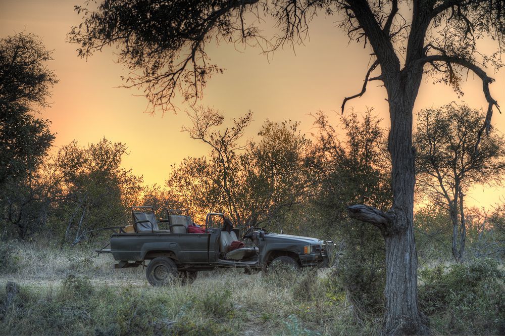 Simbavati River Lodge Timbavati Game Reserve Εξωτερικό φωτογραφία