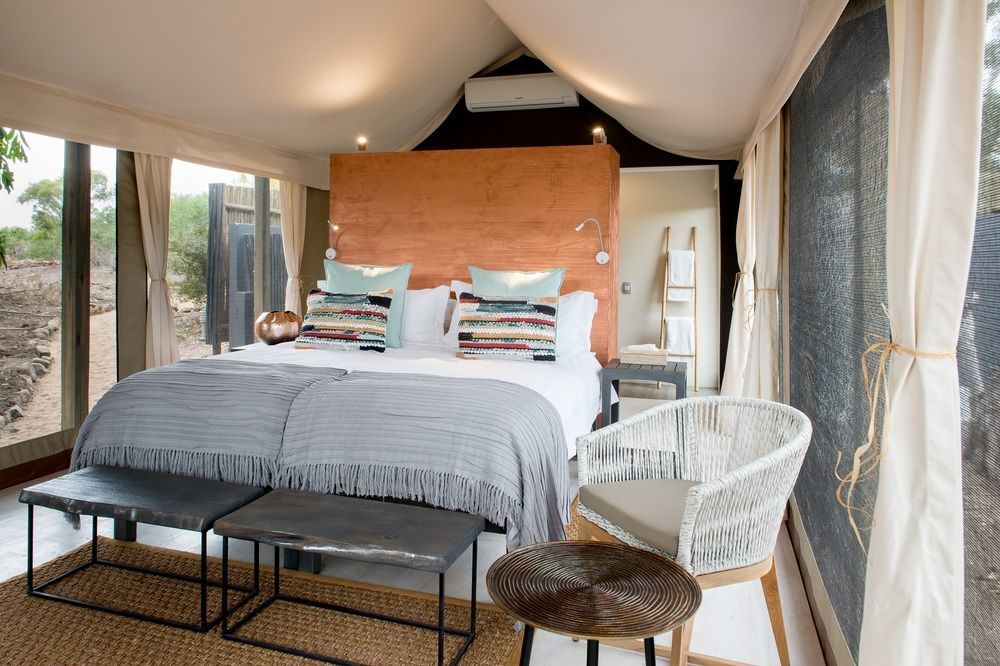 Simbavati River Lodge Timbavati Game Reserve Εξωτερικό φωτογραφία